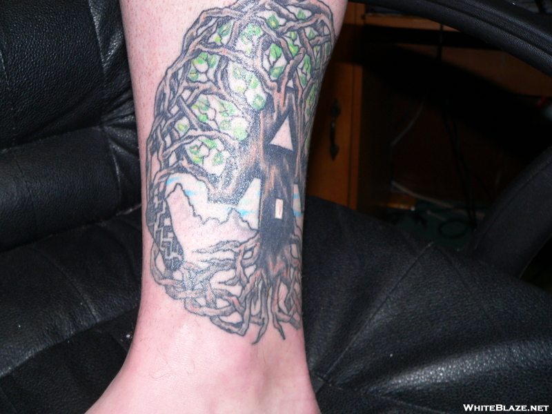 tattoo tree of life. It#39;s the Tree of Life with the