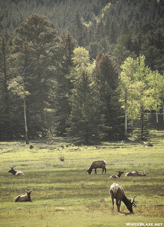 Rocky Mtn. NP