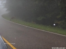 foggy deer by Tamarack in Deer