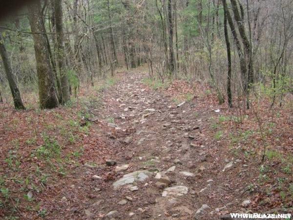 Duncan Ridge Trail -Coosa Bald