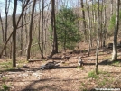 Duncan Ridge Trail - Licklog Gap