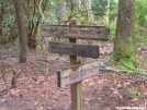 Duncan Ridge Trail - Western Terminus