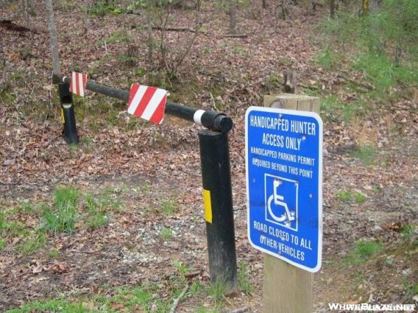 Duncan Ridge Trail - Mulky Gap