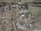 Duncan Ridge Trail - rockpiles