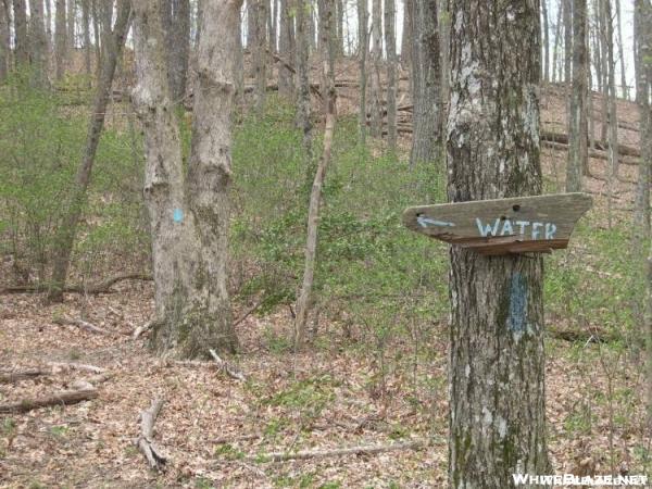 Duincan Ridge Trail - Sarvis Gap