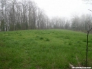 Duncan Ridge Trail - Wildlife Clearing