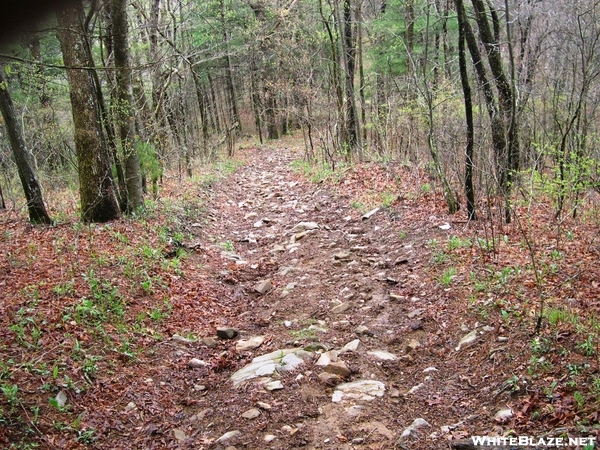 Duncan Ridge Trail