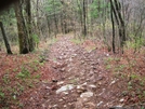 Duncan Ridge Trail