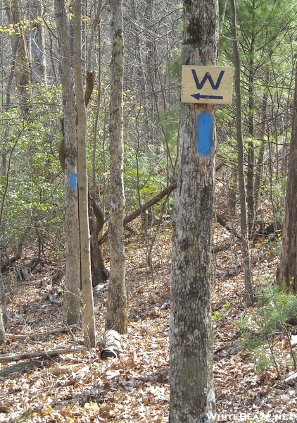 Licklog Gap On Drt & Benton Mac Trails