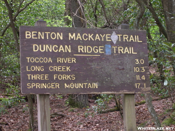 Duncan Ridge Trail