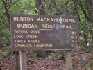 Duncan Ridge Trail