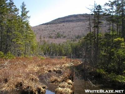 Pemigewasset Marsh  March 2006