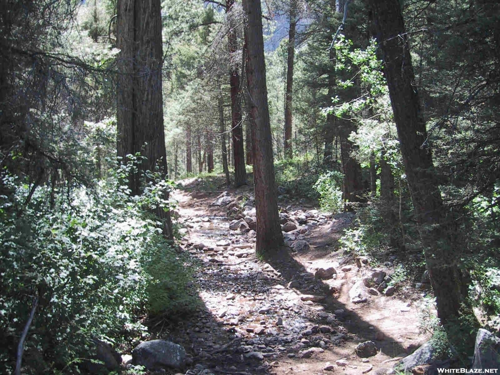 Colorado: Pine River Trail