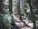 Colorado: Pine River Trail by halftime in Other Trails