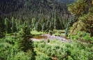 Colorado:  Pine River Trail