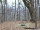 Nap time by paver in Section Hikers