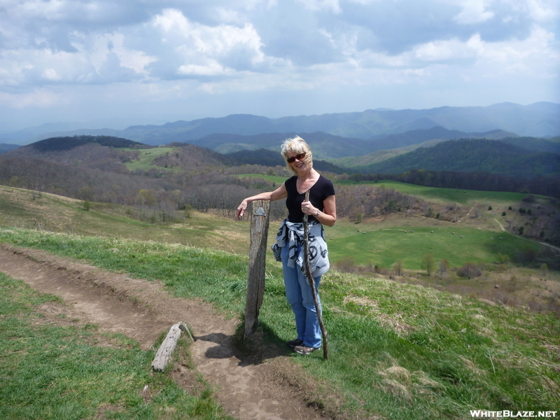 Better Half On Max Patch Bald