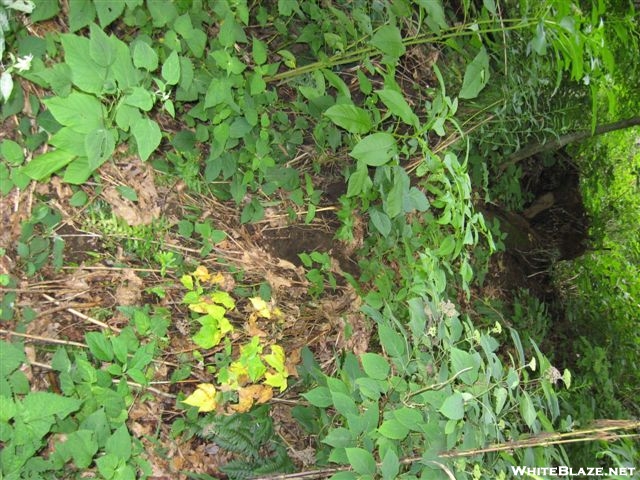 Boulder that rolled across the trail