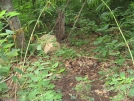 Boulder that rolled across the trail