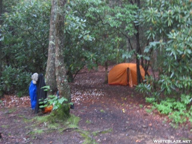 Burningtown Gap Campsite