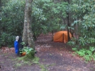 Burningtown Gap Campsite by buckowens in Section Hikers