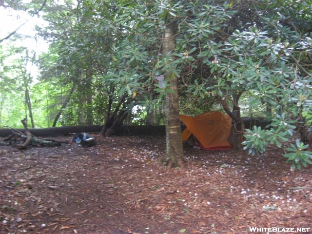 Campsite near Carter Gap Shelters