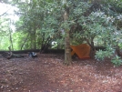 Campsite near Carter Gap Shelters