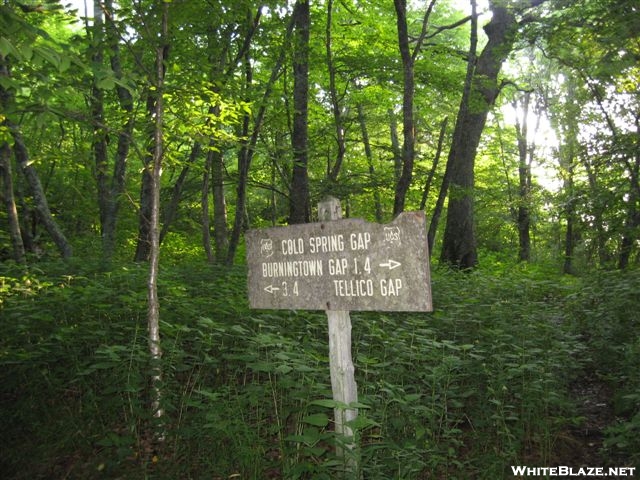 Cold Spring Shelter Sign