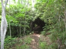 Green Tunnel near Glassmine Gap by buckowens in Section Hikers