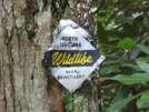 NC Bear Santuary Sign 2 by buckowens in Section Hikers