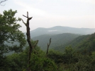 Overlook before Burningtown Gap by buckowens in Section Hikers