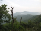 Overlook before Burningtown Gap