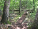 Plenty of places to sit near Mooney Gap by buckowens in Section Hikers