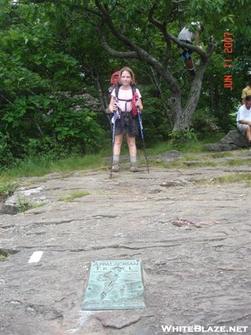 Roo on Springer Mountain