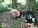 Roo on a break at Horse Gap by buckowens in Section Hikers