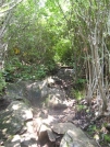 Scramble up Albert Mountain by buckowens in Section Hikers