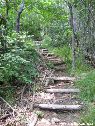 Steps up Albert Mountain