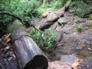 Stream Crossing by buckowens in Section Hikers