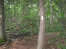 Swinging Lick Gap by buckowens in Section Hikers