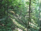 Trail Down to NOC by buckowens in Section Hikers