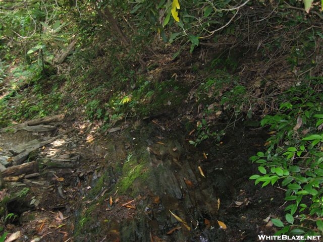 Trail crossing a spring