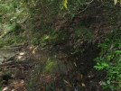 Trail crossing a spring by buckowens in Section Hikers