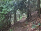 Trail near Franklin by buckowens in Section Hikers