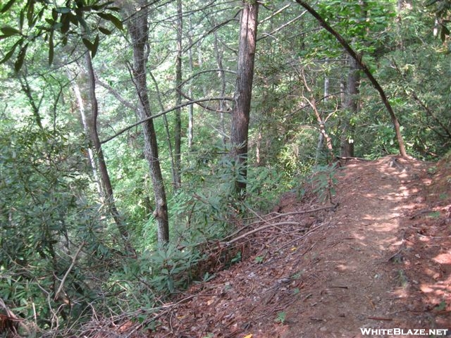 Trail near NOC