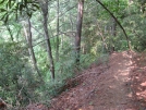 Trail near NOC