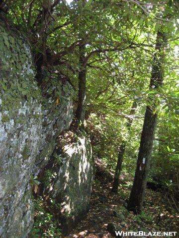 Trail past boulders
