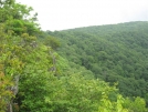 View from the Cliffs above Muskrat Creek 3 by buckowens in Section Hikers