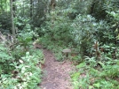 Wayah Gap by buckowens in Section Hikers
