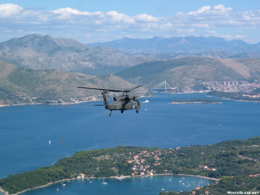 Hawk over the Adriatic Sea
