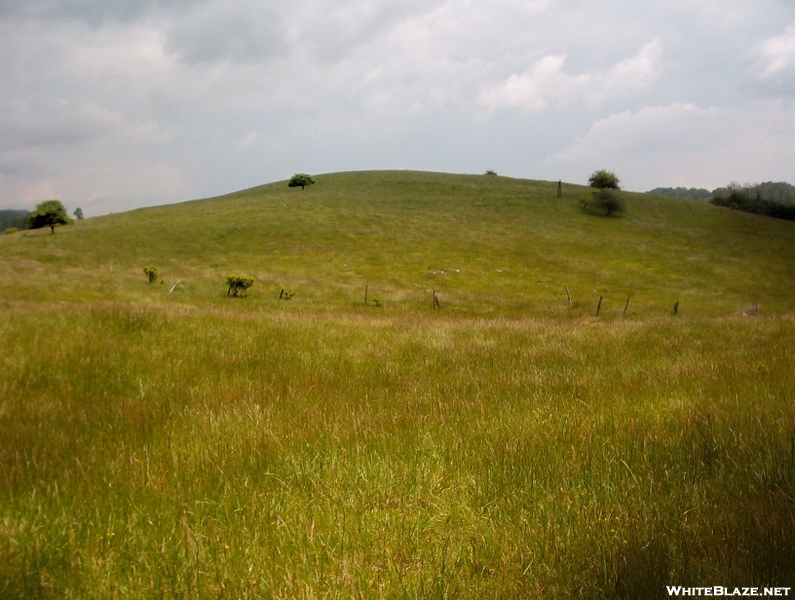 Trail In Va, 2006